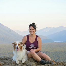Australian Shepherd All Grown Up from Petrichor Australian Shepherds