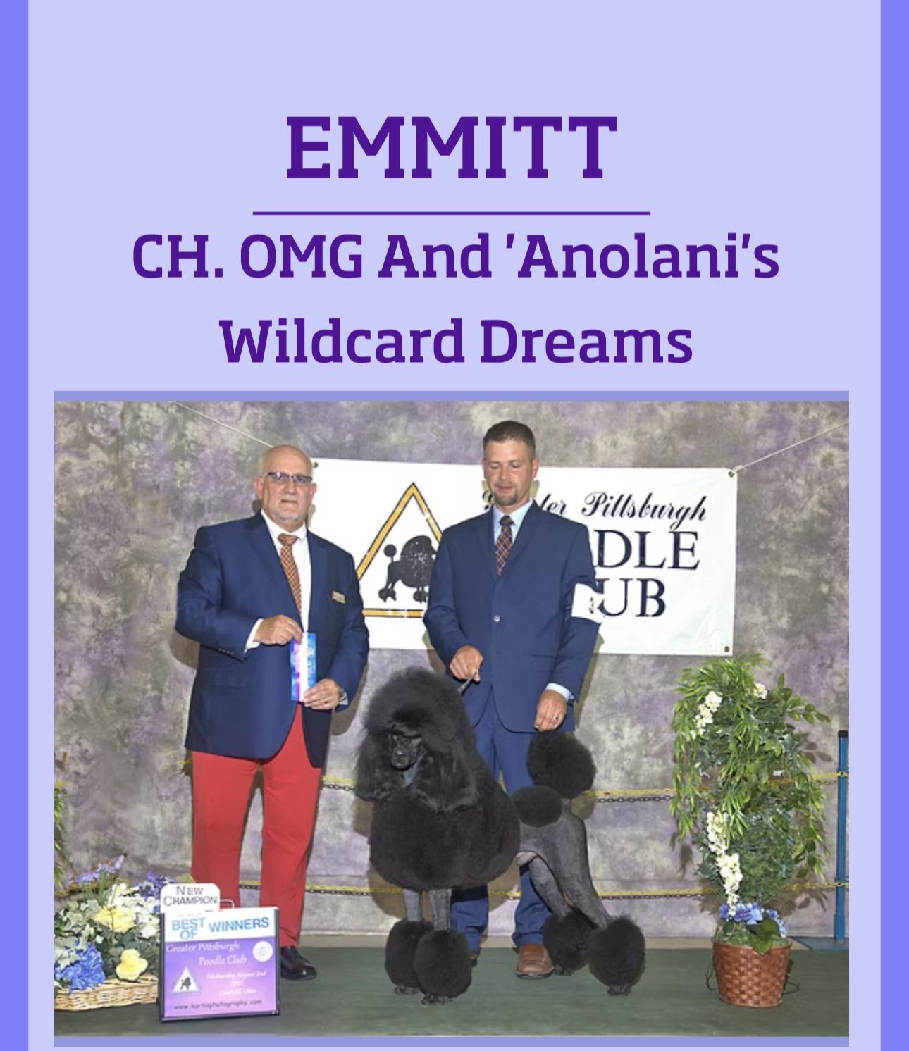 Emmitt
