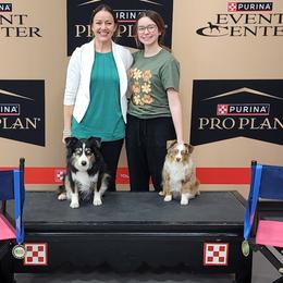 Miniature Australian Shepherds and Toy Australian Shepherds from Plum Creek Aussies
