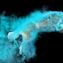 Saint Bernard All Grown Up from Metal Saints