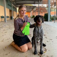 German Shepherd and German Wirehaired Pointer All Grown Up from Seelenfeuer German Shepherd Dogs