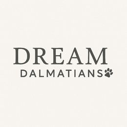 Green collar male - White and black male Dalmatian puppy in Sacramento, California from Dream Dalmatians