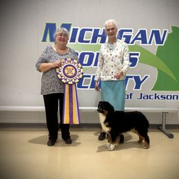 Australian Shepherd Puppies from Lk Michigan BIS Champion Aussies