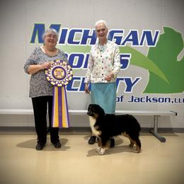 Australian Shepherd Puppies from Lk Michigan BIS Champion Aussies