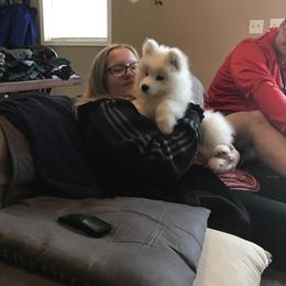 Samoyed Puppies from Kenjo Samoyeds