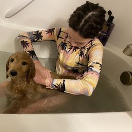 Cockapoo and Goldendoodle Puppies from Capital Doodles