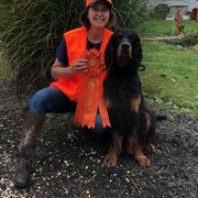 Gordon Setter All Grown Up from Dreamcatcher Kennel