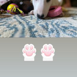 Miniature Bull Terrier Puppies from Tonka Miniature Bull Terriers