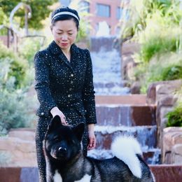 Akita from Aces-Up Akitas