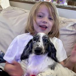 Sadie - Dapple female Dachshund puppy in Bryceville, Florida from Lucky Dog Dachshunds