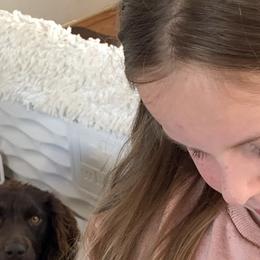 Boykin Spaniel Puppies from Five-Springs-Kennels