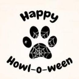 Shih Tzu Puppies from Nickerson Farms Shih Tzu & Imperial Beauties LLC.