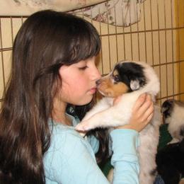 Collie Puppies from Castlebar Collies