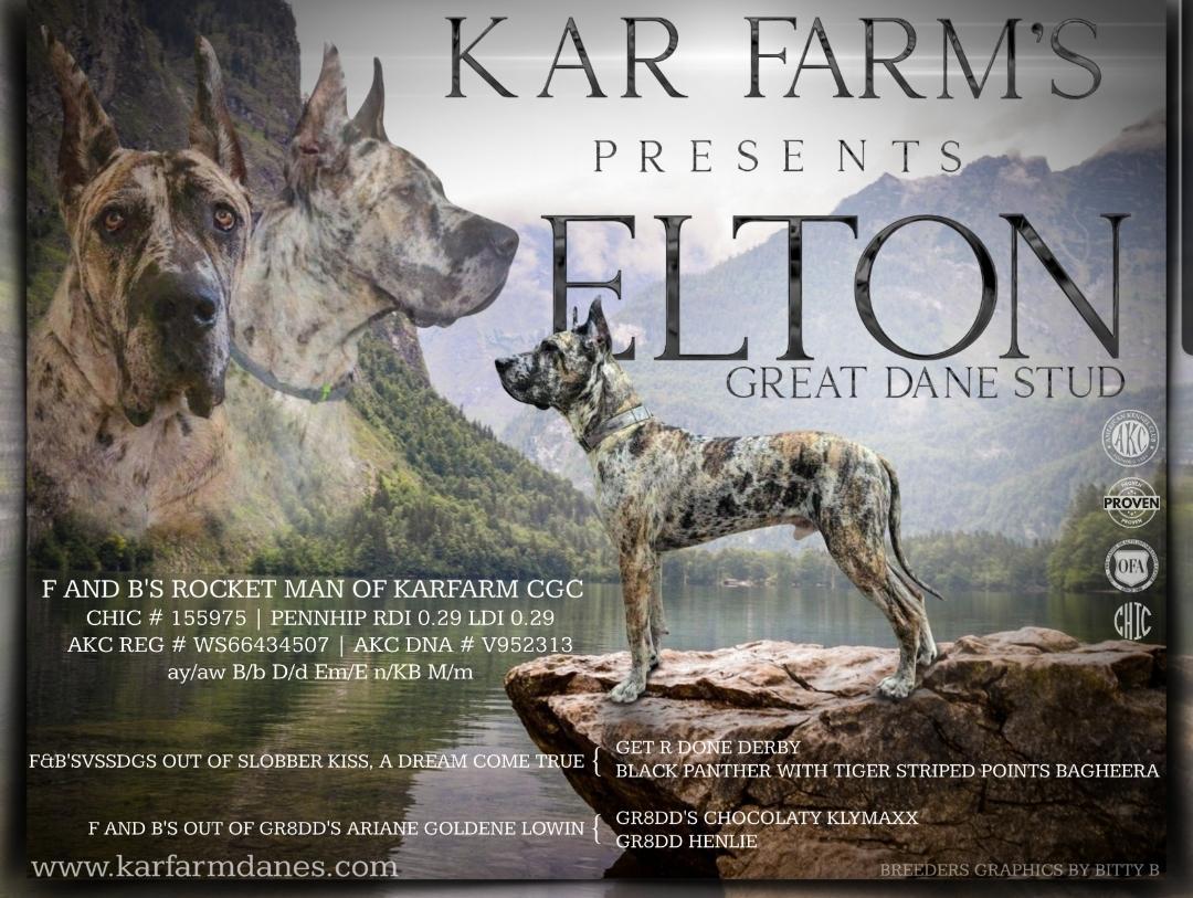 Elton
