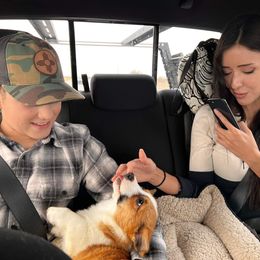 Pembroke Welsh Corgi Puppies from Dream Catcher Corgis