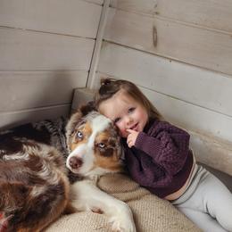 Livie - Australian Shepherd