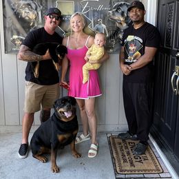 Rottweiler Puppies from Black Diamond Excellence rottweiler kennel