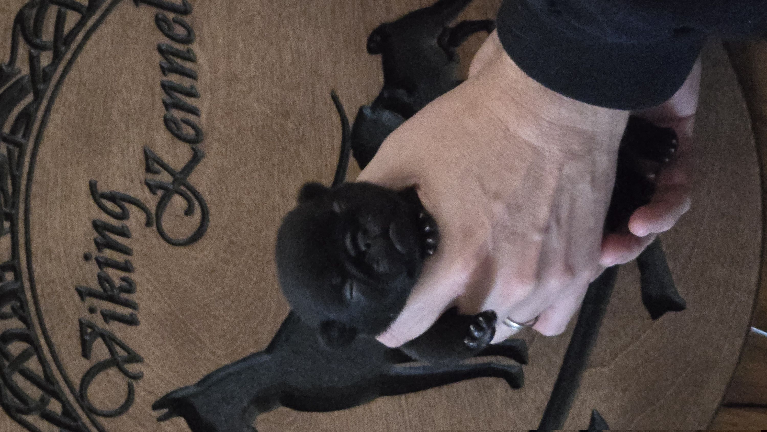 Male1 - Black male Pug puppy in Cheyenne, Wyoming from Viking Kennel