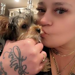 Yorkshire Terrier Puppies from Rosey’s Yorkies