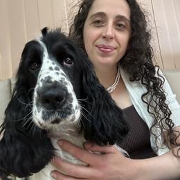 Osono - English Cocker Spaniel
