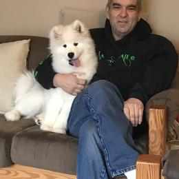 Samoyed Puppies from Kenjo Samoyeds