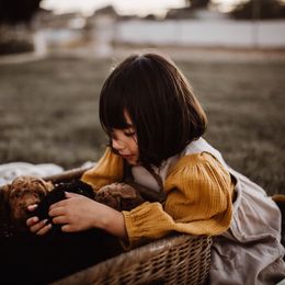 Aussiedoodle and Bernedoodle Puppies from High Desert Doodles