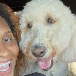 Labradoodles from Four Paws Down