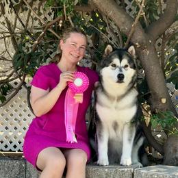 Stellar - Alaskan Malamute