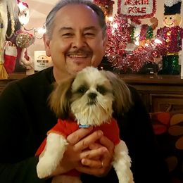 Shih Tzu Puppies from Willow Lane Shih Tzus