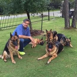 German Shepherd All Grown Up from Haus Vinzant Kennel