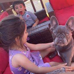 French Bulldog Puppies from @yarathefrenchie