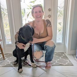 Adele, Set Fire to the Rain - Black and white Great Dane puppy in Brooksville, Florida from Follow My Lead Great Danes