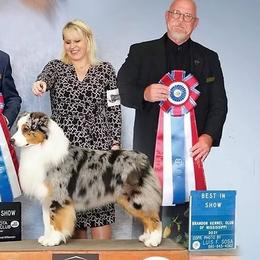 Australian Shepherds from Lk Michigan BIS Champion Aussies
