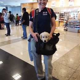 Golden Retriever Puppies from Dry Canyon Goldens