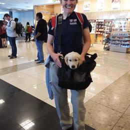 Golden Retriever Puppies from Dry Canyon Goldens
