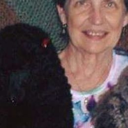 Poodles from Bluemist Kennel