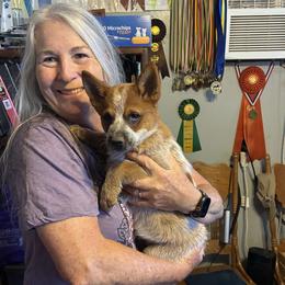 L65-02 - Red speckled male Australian Cattle Dog puppy in Sheridan, Oregon from 6pk Cattledogs