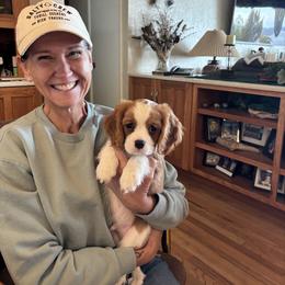 Cavalier King Charles Spaniel Puppies from Crosby's Cavaliers