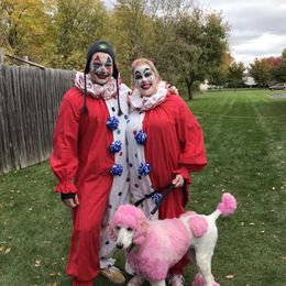 Poodle Puppies from Sharon’s Poodles
