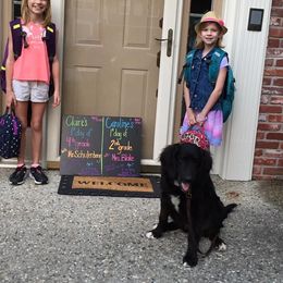 Goldendoodle All Grown Up from Simply Doodles LLC