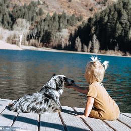 Aussiedoodles from positivelypuppies