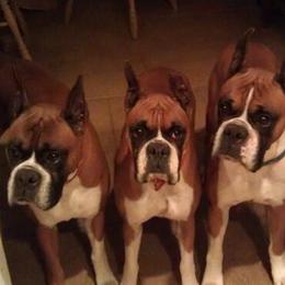 Boxers from Imperial Boxers