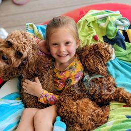 Cavapoo Puppies from Carolina Springs Breeding