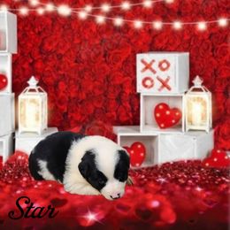 Belle Star - Border Collie puppy in Le Grand, California from Lonesome Me Border Collies