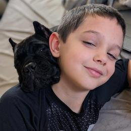 Cane Corso and Yorkshire Terrier Puppies from Exotic Yorkie Imports & Cessna Cane Corso