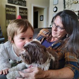 Havanese Puppies from EClair's Havanese and Westies