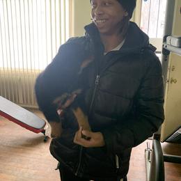 Rottweiler Puppies from Rottweiler Land