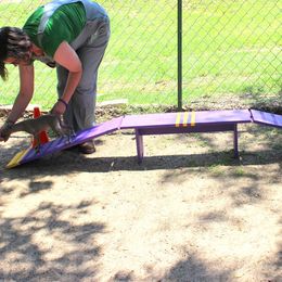 Boston Terrier and Italian Greyhound Puppies from 4Ever Boston Terriers & Italian Greyhounds