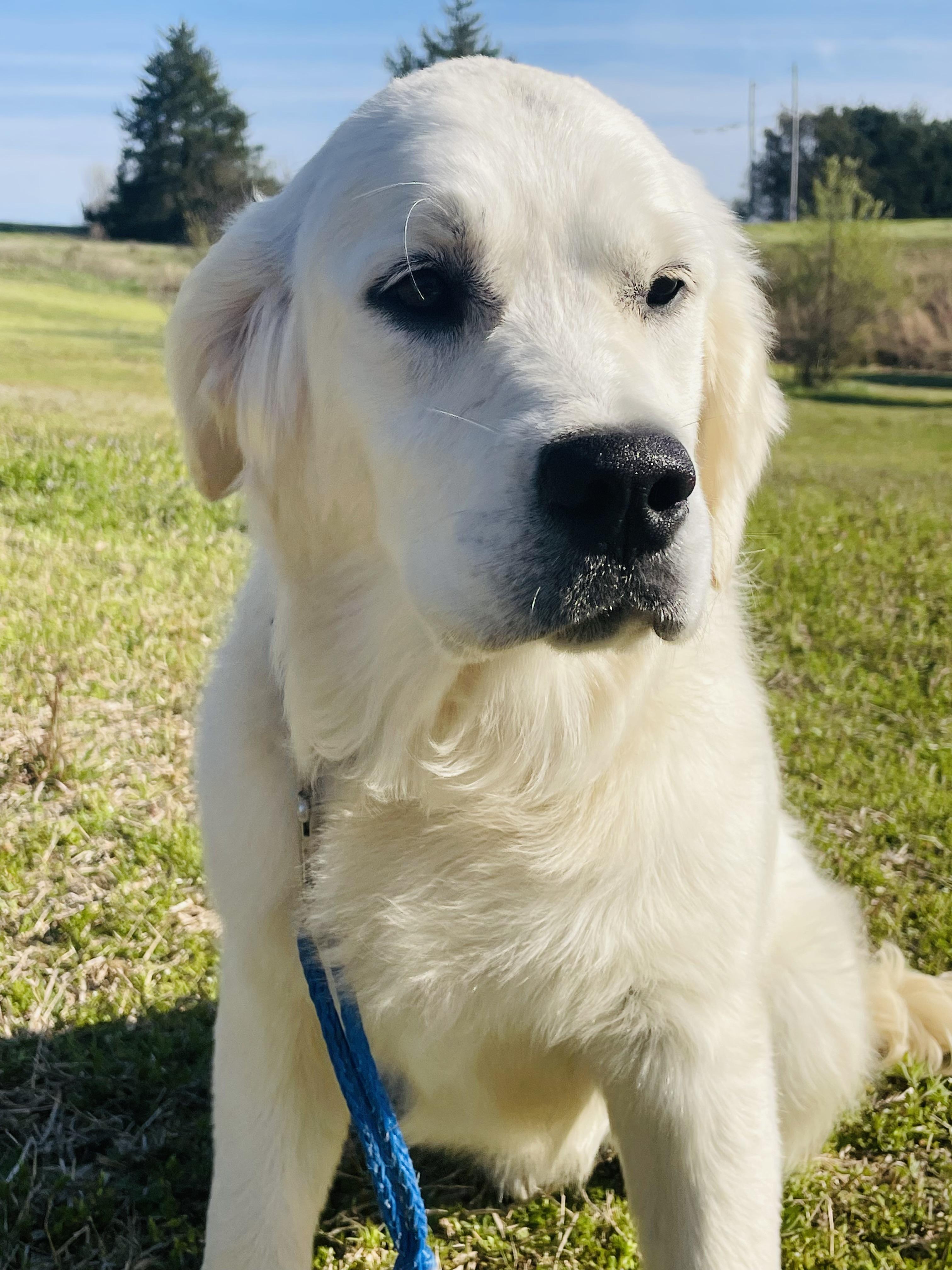 Luna