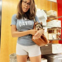 Maltese and Silky Terrier All Grown Up from Silky Malti Puppies